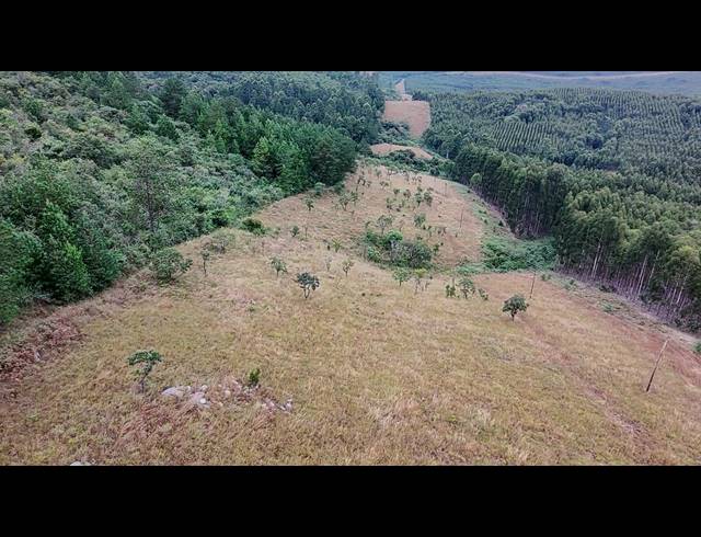 46HA FARM SOLD IN NELSPRUIT RURAL